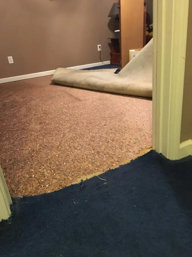 Carpet pad removal revealing water damage during Drying & Dehumidification in Montrose-Ghent