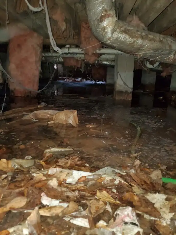 Crawl space flood assessment for Commercial Water Damage Restoration in Montrose-Ghent