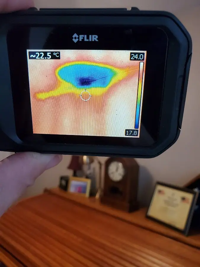 Thermal imaging inspection for water damage in Montrose-Ghent