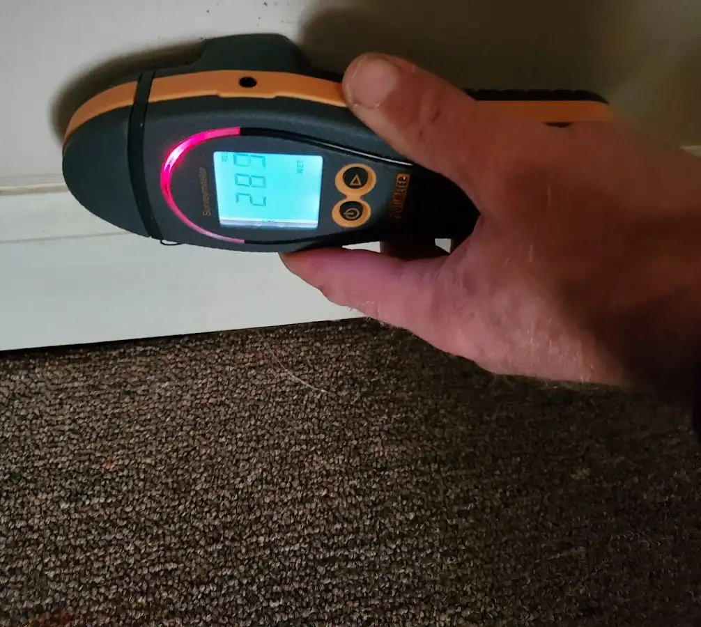 Moisture detection at baseboard during Burst Pipe Cleanup in Montrose-Ghent